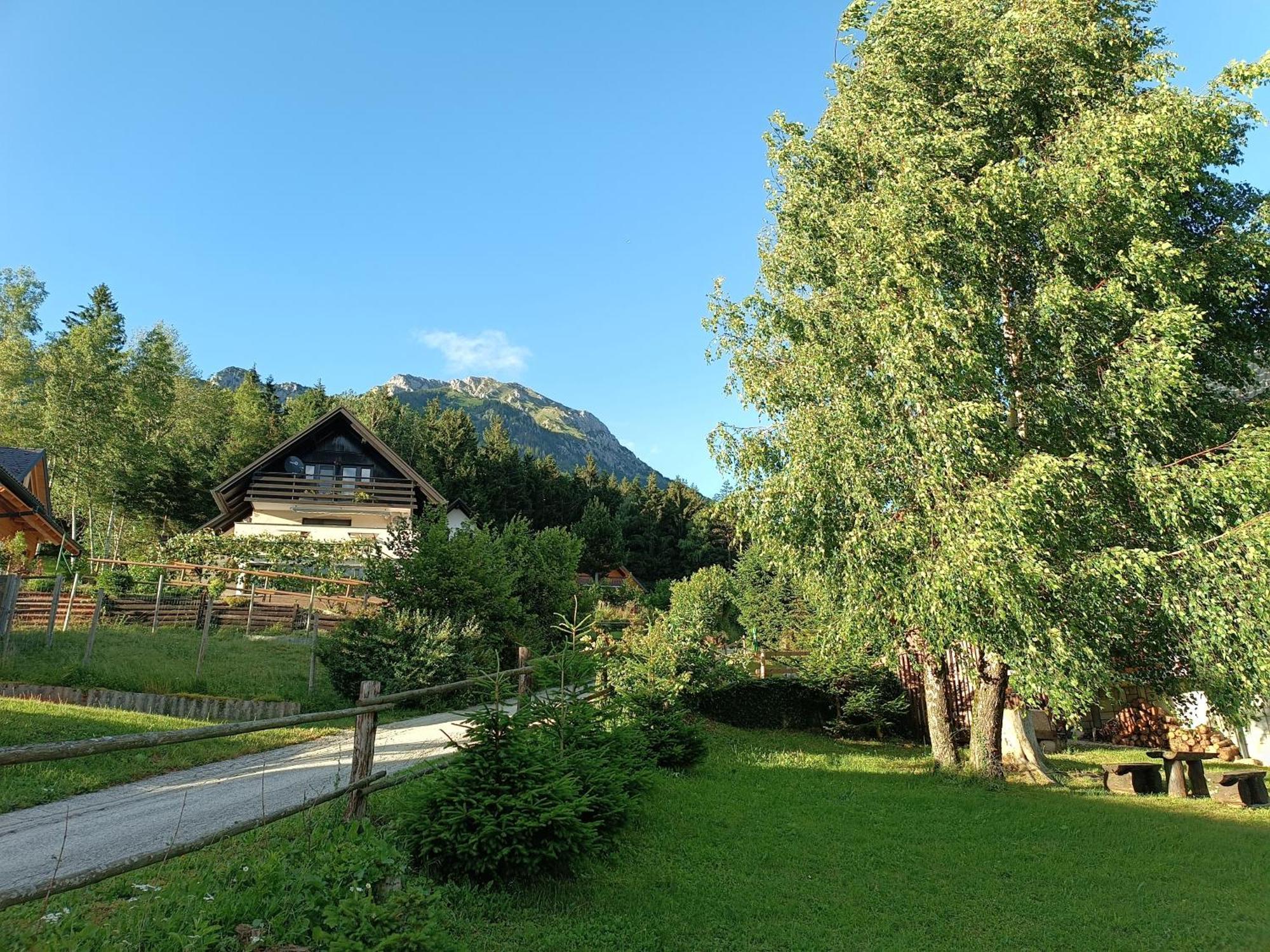 Kralj Matjaz - The Green Escape Under Alps Golnik Exterior photo
