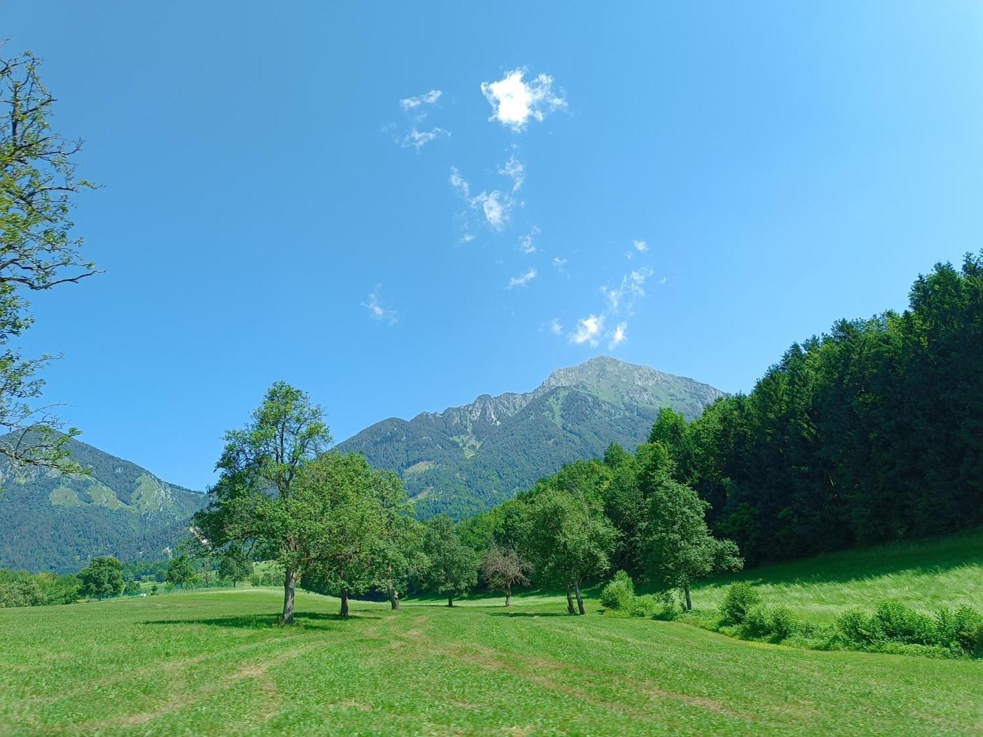 Kralj Matjaz - The Green Escape Under Alps Golnik Exterior photo